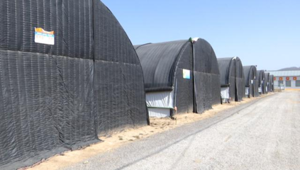 甘肅合水:菌光互補項目預計5月完成并網