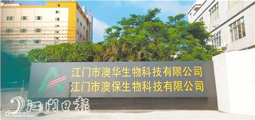 江門(mén)新聞 江門(mén)新聞網(wǎng).江門(mén)綜合門(mén)戶網(wǎng)站