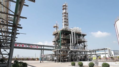 總投資4.7億 樂亭這個(gè)循環(huán)經(jīng)濟(jì)項(xiàng)目迎來(lái)新進(jìn)展